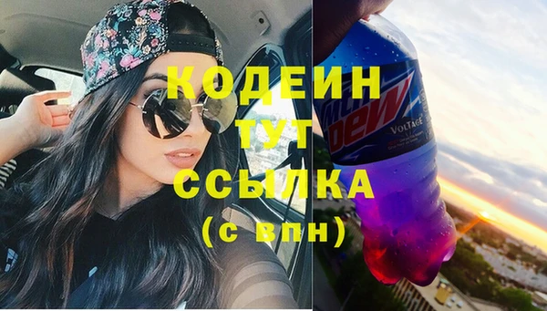 дмт Гатчина