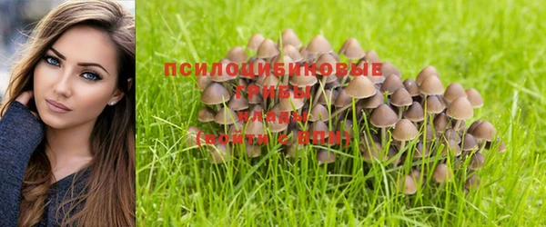 стаф Заволжск