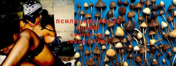 стаф Заволжск
