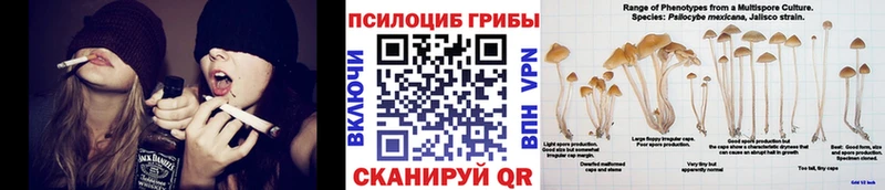 гидра ссылки  Касли  Галлюциногенные грибы мухоморы  закладки 